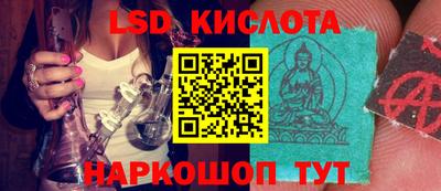 индика Заводоуковск