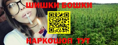индика Заводоуковск