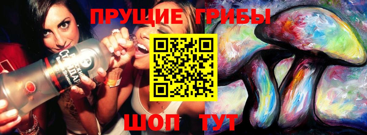 Галлюциногенные грибы Psilocybine cubensis Северодвинск