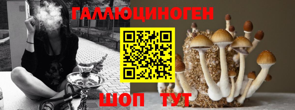Галлюциногенные грибы Magic Shrooms  Псилоцибиновые грибы прущие грибы  где купить наркоту  Вход с VPN  Северодвинск 